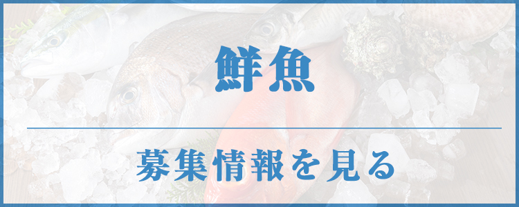 鮮魚事業部募集要項